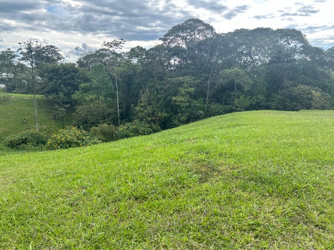 Lote en venta en Condina, Pereira, 2497 m² · foto 4 de 5