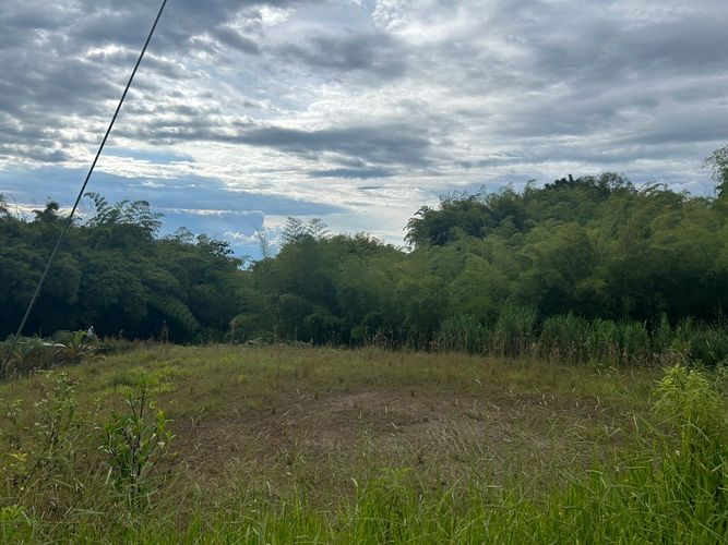 Lote en venta en Condina, Pereira, 2497 m² · foto 2 de 3