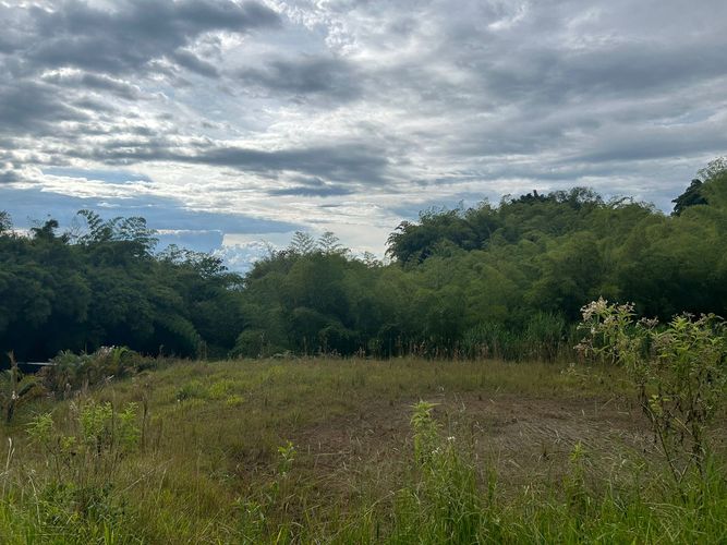 Lote en venta en Condina, Pereira, 2497 m² · foto 3 de 3