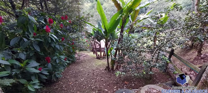 Casa de 2 alcobas en venta en La Tablaza, La Estrella, 1600 m² · foto 10 de 20