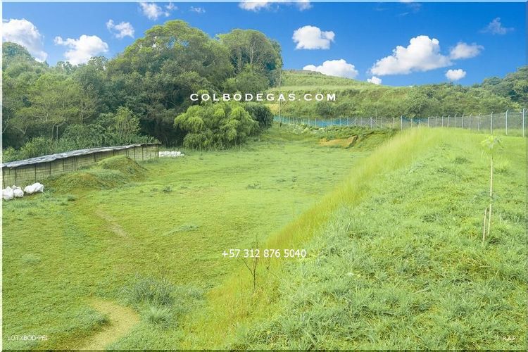 Lote en venta en Condina, Pereira, 2189 m² · foto 4 de 5