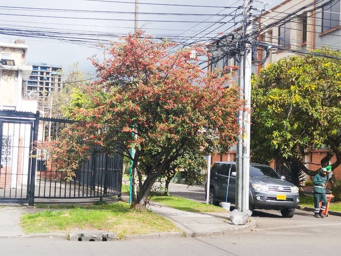 Casa de 7 alcobas en venta en Los Alcazares, Bogotá, 260 m² · foto 8 de 24