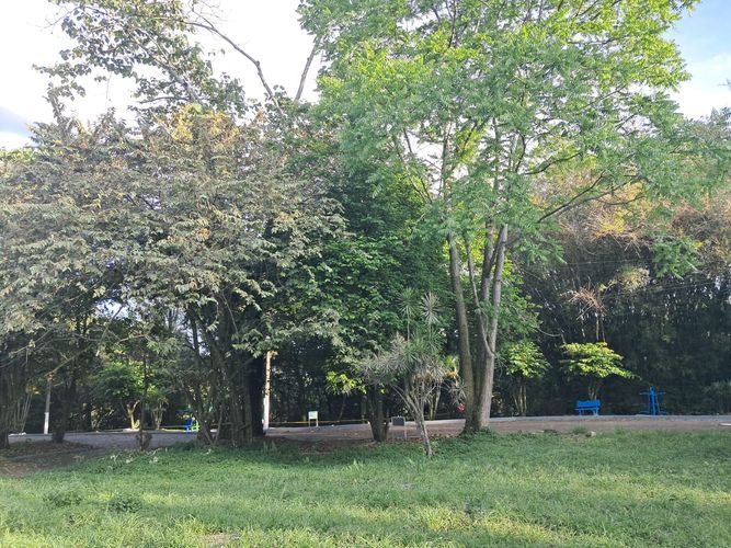 Casa de 3 alcobas en venta en Barzal Sur, Villavicencio, 147 m² · foto 11 de 12