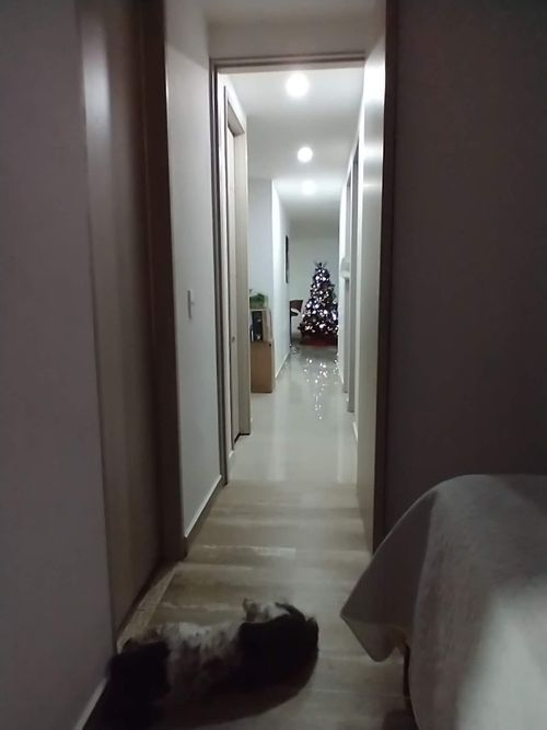 Apartamento de 3 alcobas en venta en Unicentro Palmira, Palmira, 80 m² · foto 17 de 20