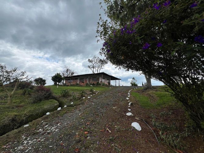 Finca en venta en Tribunas Corcega, Pereira, 300 m² · foto 7 de 24