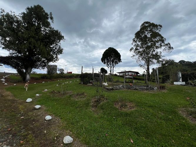 Finca en venta en Tribunas Corcega, Pereira, 300 m² · foto 12 de 24