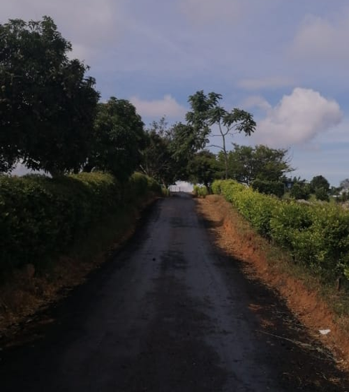 Lote en venta en Ruitoque, Piedecuesta, 1000 m² · foto 2 de 8
