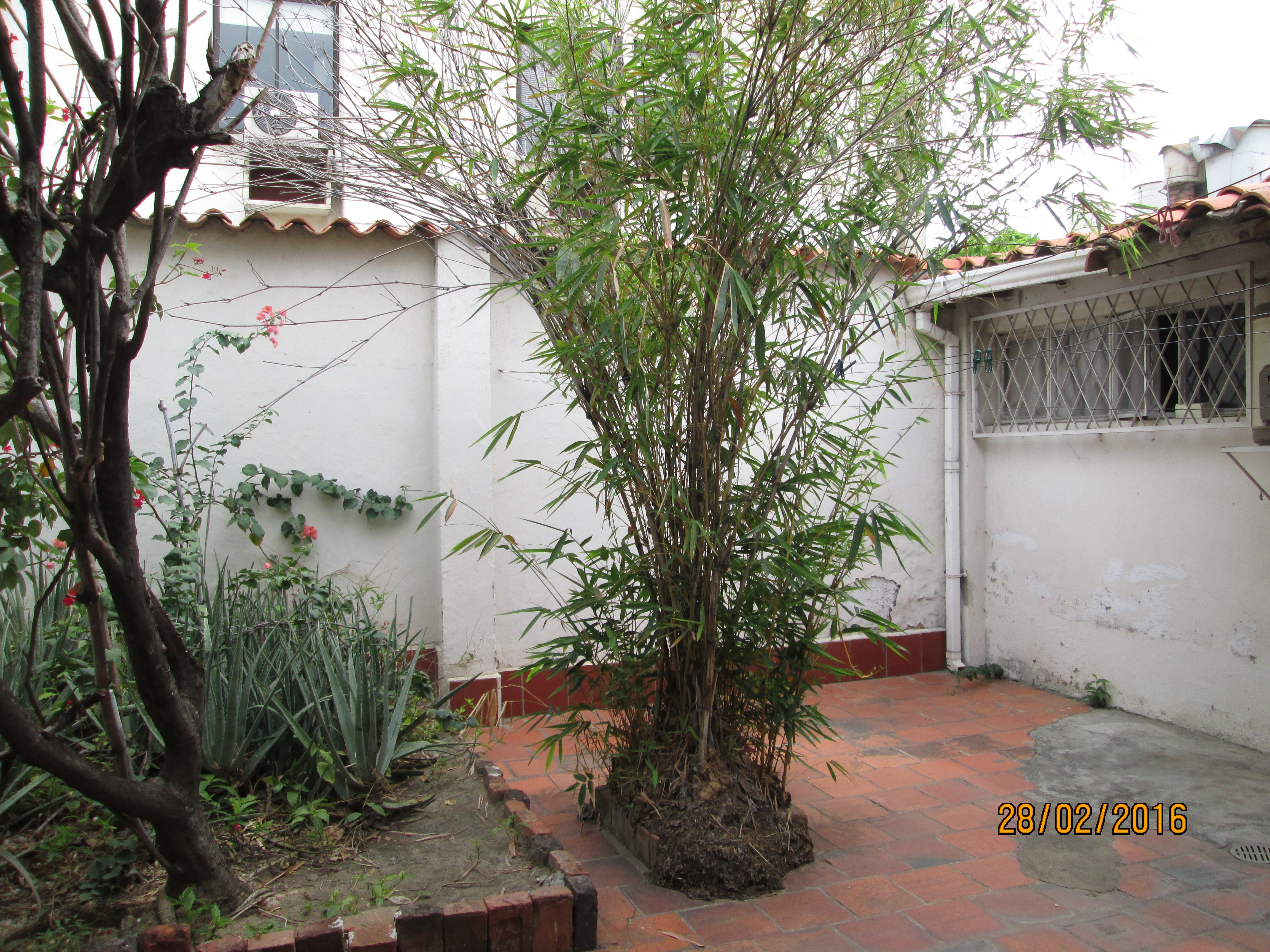 Casa en venta en Blanco, Cúcuta · foto 8 de 8