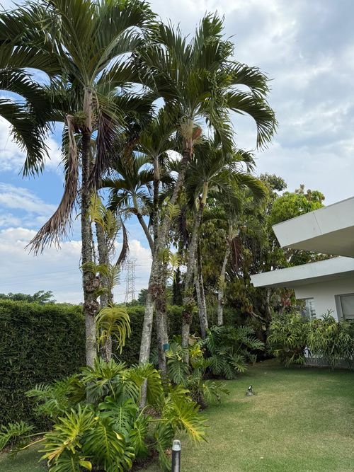 Casa de 3 alcobas en venta en Ciudad Jardin, Cali, 1164 m² · foto 18 de 21