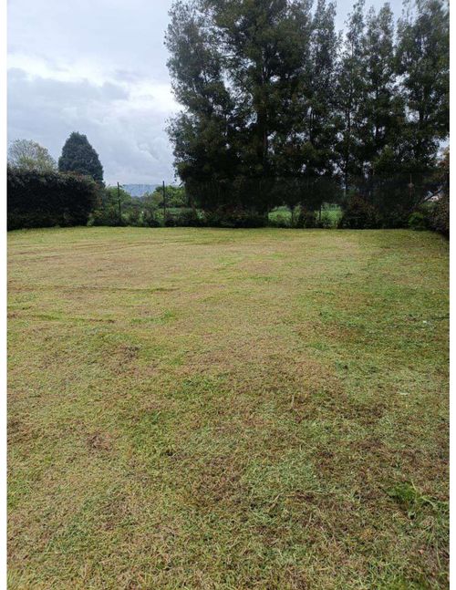 Lote en venta en Fagua, Chía, 407 m² · foto 4 de 18