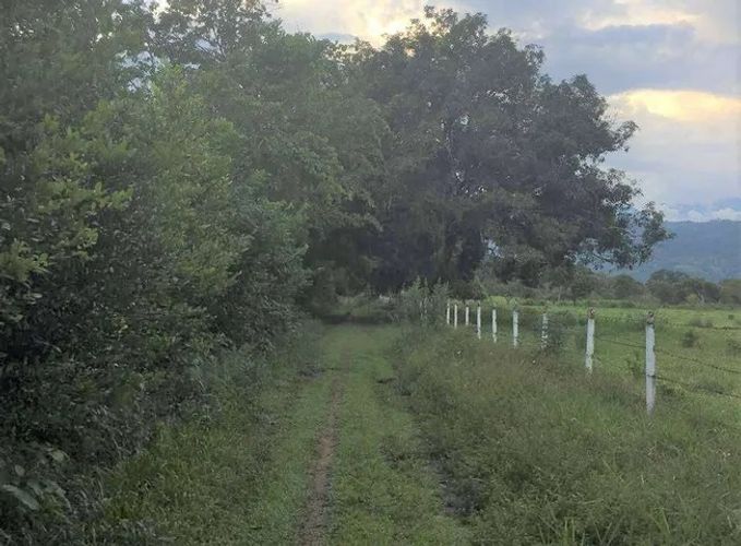 Finca en venta en San Benito, Villavicencio · foto 2 de 7