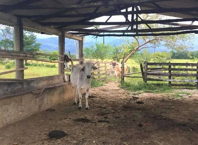 Finca en venta en San Benito, Villavicencio · foto 3 de 7