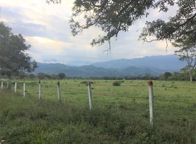 Finca en venta en San Benito, Villavicencio · foto 4 de 7
