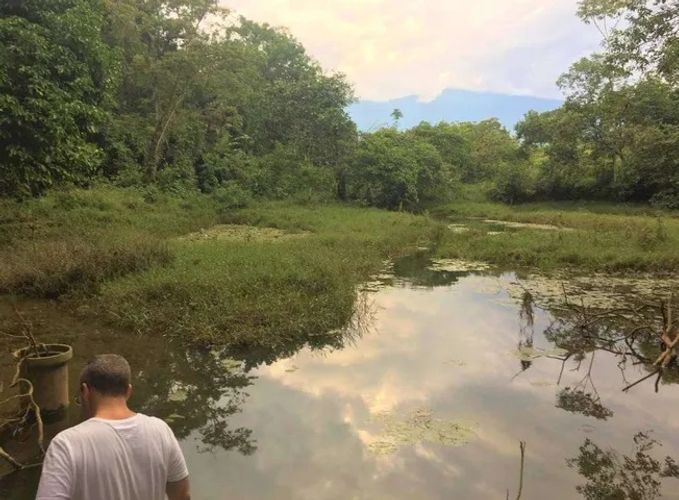 Finca en venta en San Benito, Villavicencio · foto 7 de 7