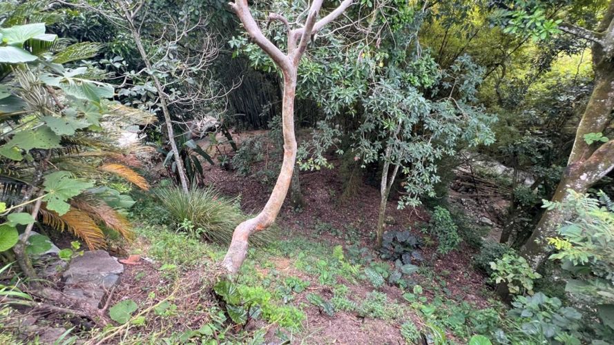 Casa de 4 alcobas en venta en Miramar, Ibagué, 342 m² · foto 7 de 10