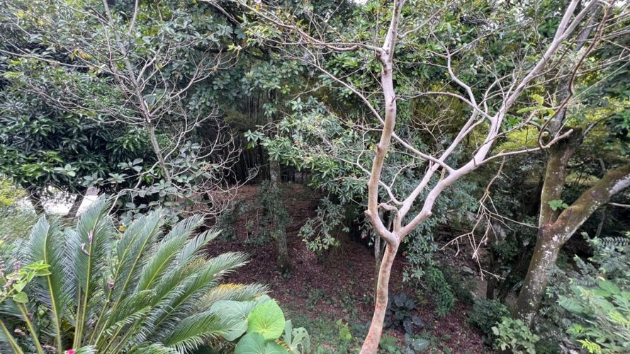 Casa de 4 alcobas en venta en Miramar, Ibagué, 342 m² · foto 8 de 10