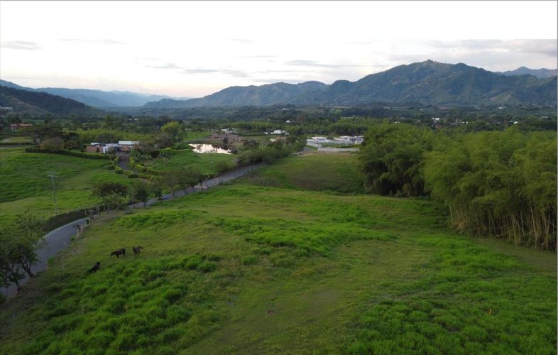 Lote en venta en Cerritos, Pereira, 2924 m² · foto 2 de 4