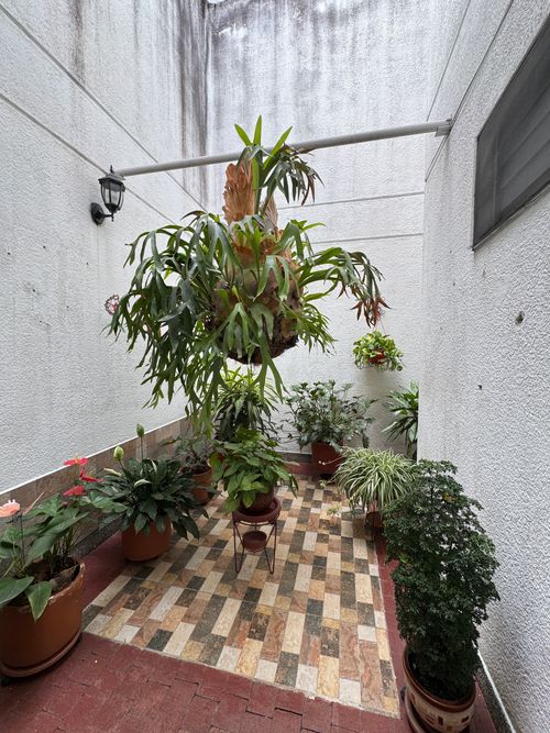 Apartamento de 3 alcobas en venta en Reservas De Las Mercedes, Palmira, 115 m² · foto 3 de 15