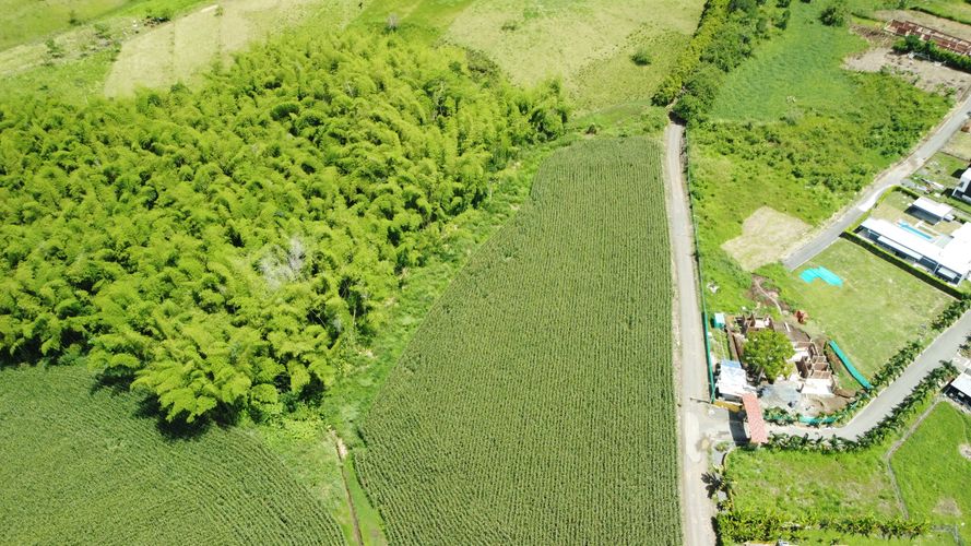 Lote en venta en Cerritos, Pereira, 30100 m² · foto 8 de 11