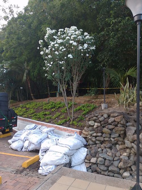 Apartamento de 3 alcobas en venta en Mt. El Jordan, Ibagué, 54 m² · foto 16 de 24