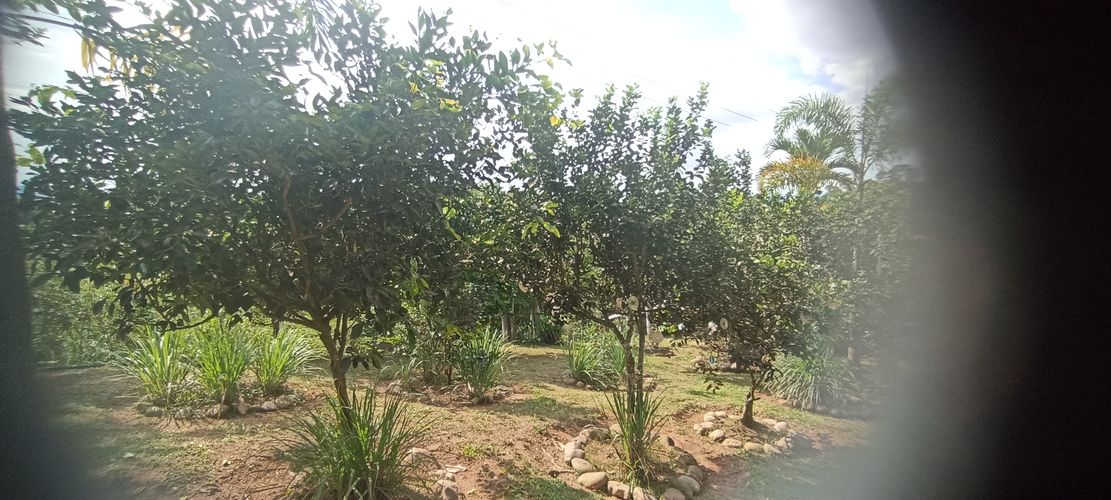 Lote en venta en Ruitoque, Floridablanca, 7000 m² · foto 7 de 10