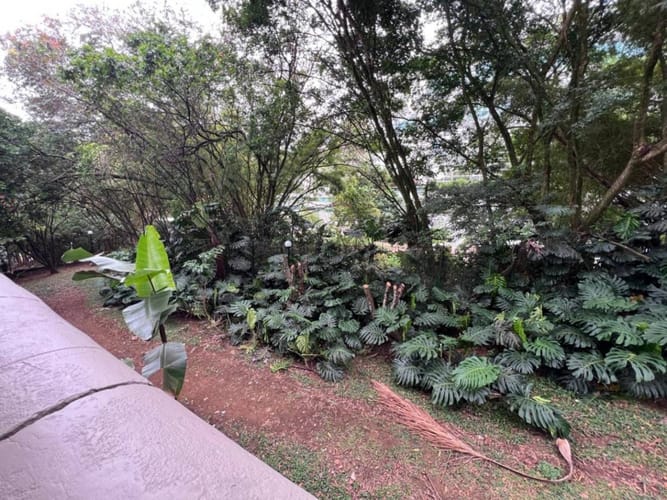 Apartamento de 3 alcobas en arriendo en Manila, Medellín, 96 m² · foto 16 de 16
