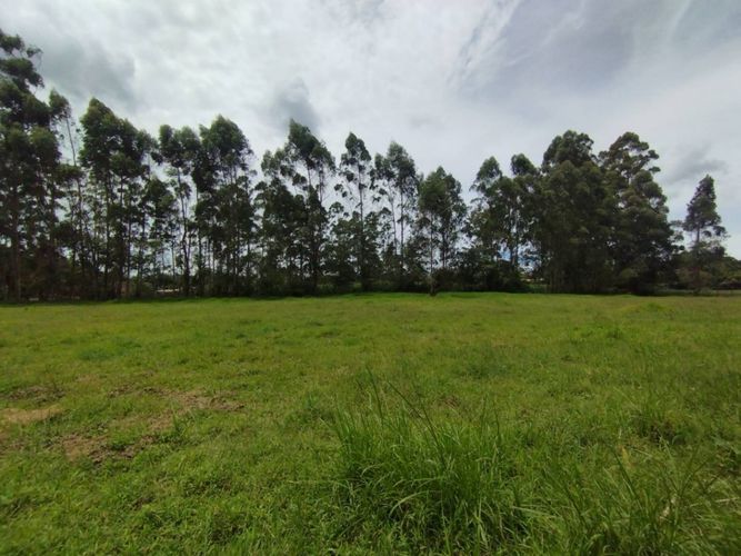 Lote en venta en Llano Grande, Rionegro, 6600 m² · foto 2 de 13