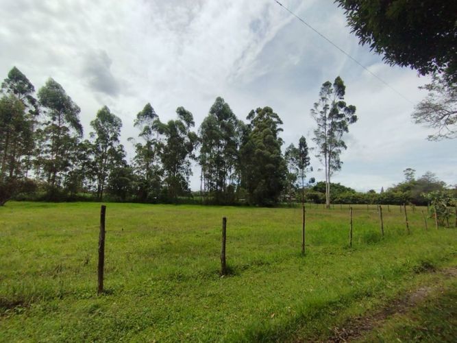 Lote en venta en Llano Grande, Rionegro, 6600 m² · foto 5 de 13