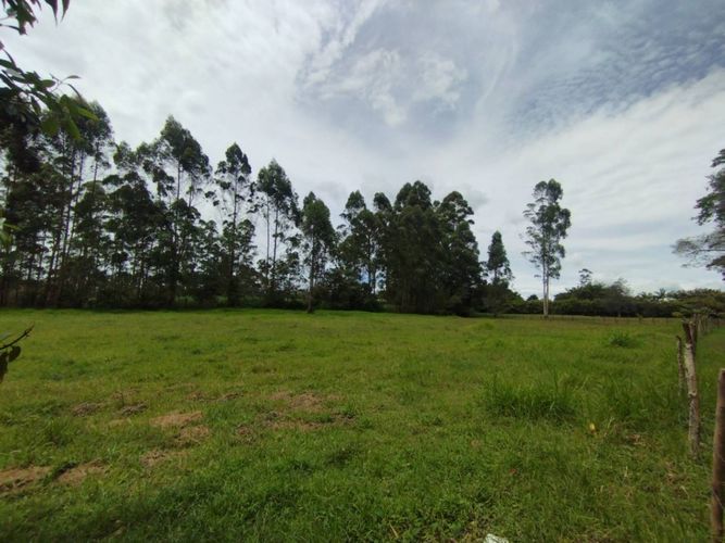 Lote en venta en Llano Grande, Rionegro, 6600 m² · foto 8 de 13