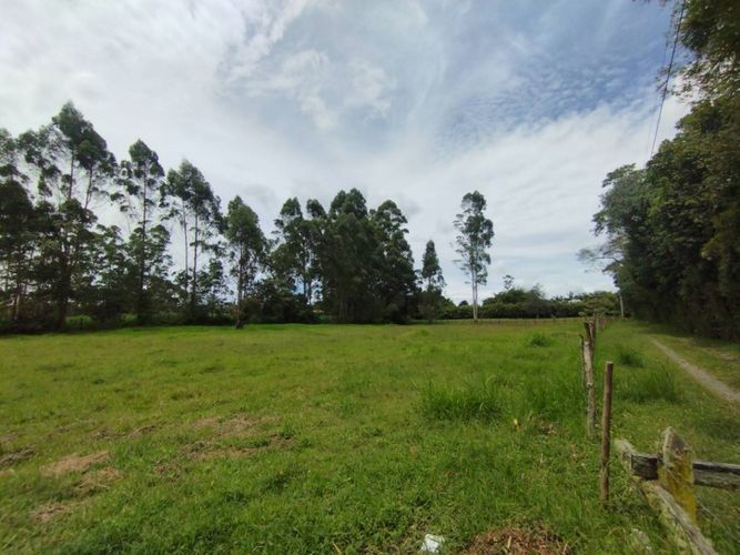 Lote en venta en Llano Grande, Rionegro, 6600 m² · foto 9 de 13