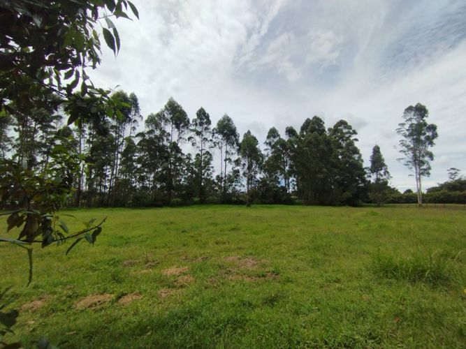 Lote en venta en Llano Grande, Rionegro, 6600 m² · foto 10 de 13