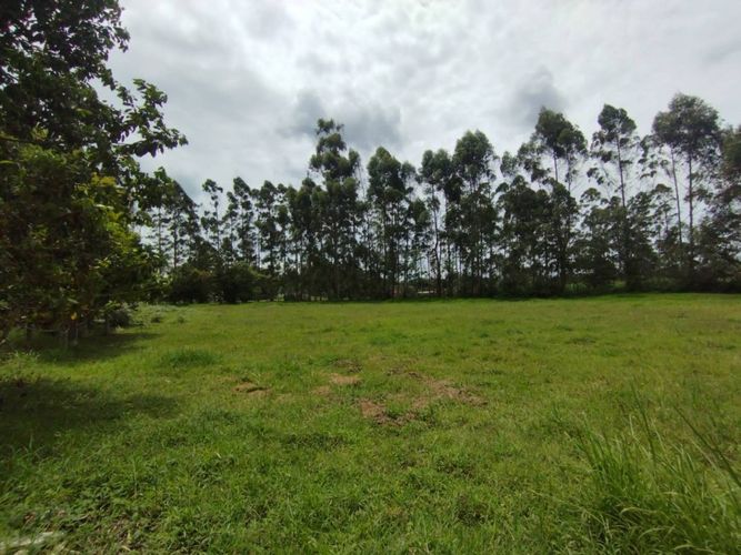 Lote en venta en Llano Grande, Rionegro, 6600 m² · foto 11 de 13