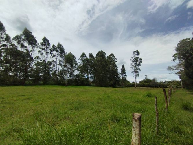 Lote en venta en Llano Grande, Rionegro, 6600 m² · foto 13 de 13