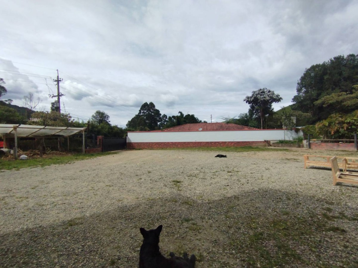 Land in Pantanillo (3360 m²) for Sale - 4