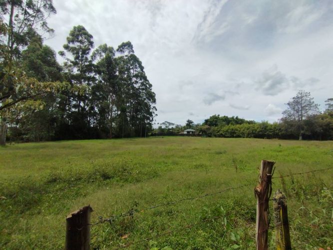 Lote en venta en Llano Grande, Rionegro, 7750 m² · foto 3 de 13