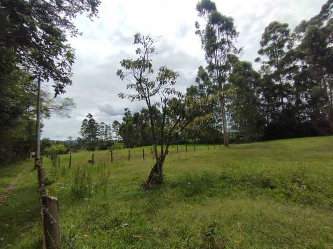 Lote en venta en Llano Grande, Rionegro, 7750 m² · foto 6 de 13