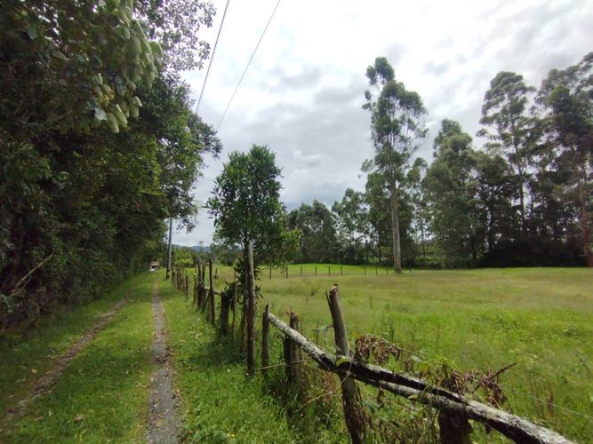 Lote en venta en Llano Grande, Rionegro, 7750 m² · foto 8 de 13