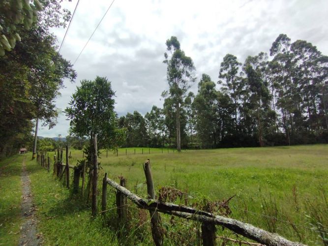 Lote en venta en Llano Grande, Rionegro, 7750 m² · foto 9 de 13