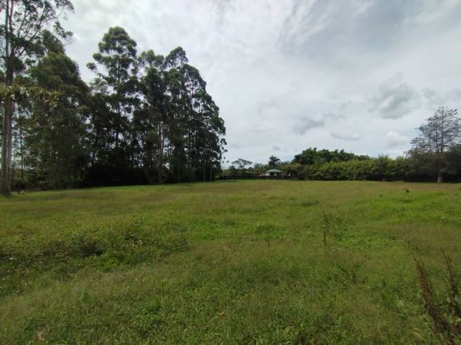 Lote en venta en Llano Grande, Rionegro, 7750 m² · foto 11 de 13