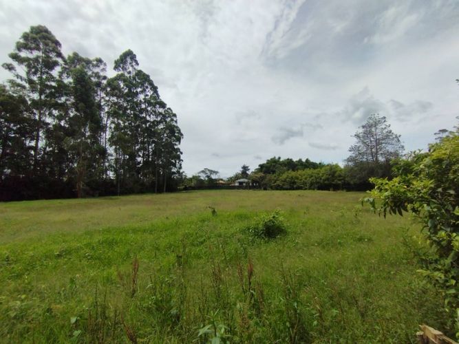 Lote en venta en Llano Grande, Rionegro, 7750 m² · foto 13 de 13