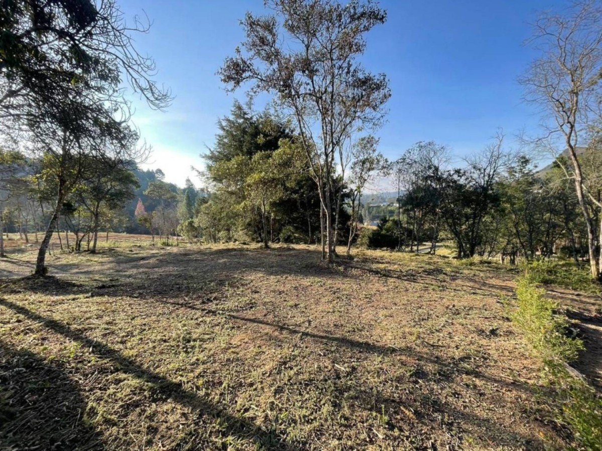 Land in El chuscal (1787 m²) for Sale