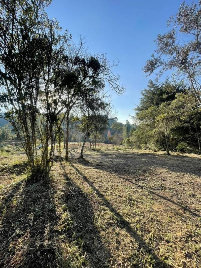 Land in El chuscal (1787 m²) for Sale - 3