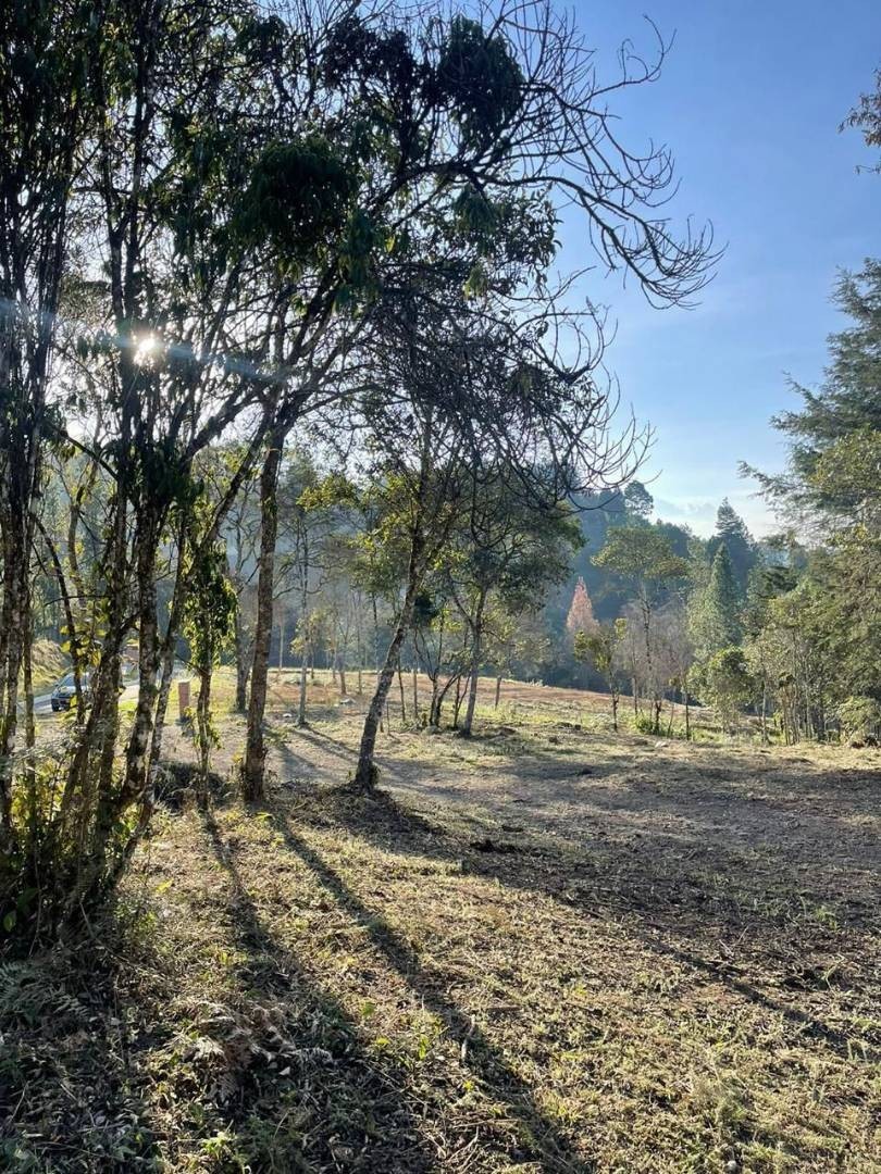 Land in El chuscal (1787 m²) for Sale - 4