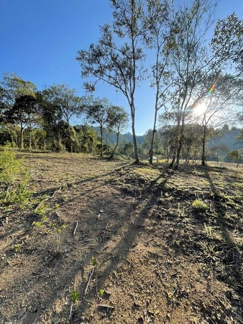 Lote en venta en El Chuscal, El Retiro, 1787 m² · foto 5 de 15