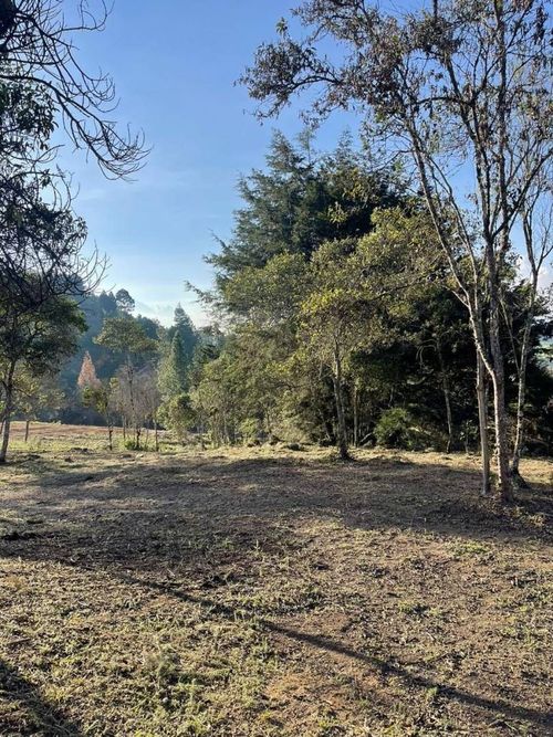Lote en venta en El Chuscal, El Retiro, 1787 m² · foto 6 de 15