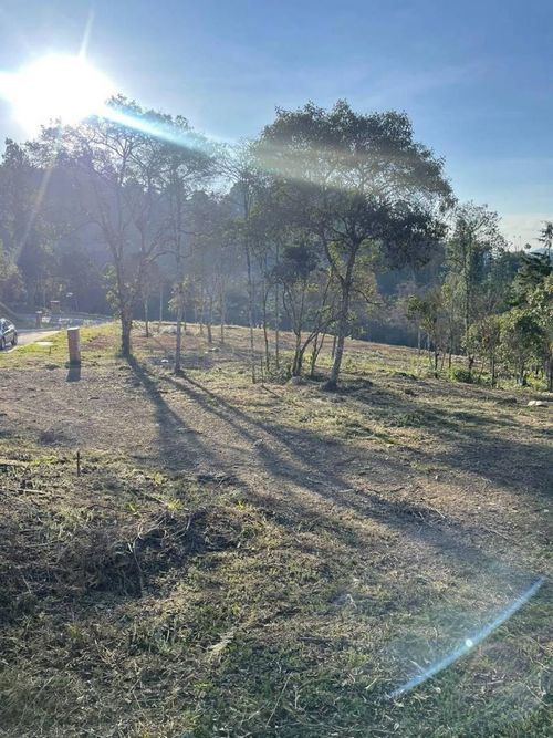 Lote en venta en El Chuscal, El Retiro, 1787 m² · foto 8 de 15