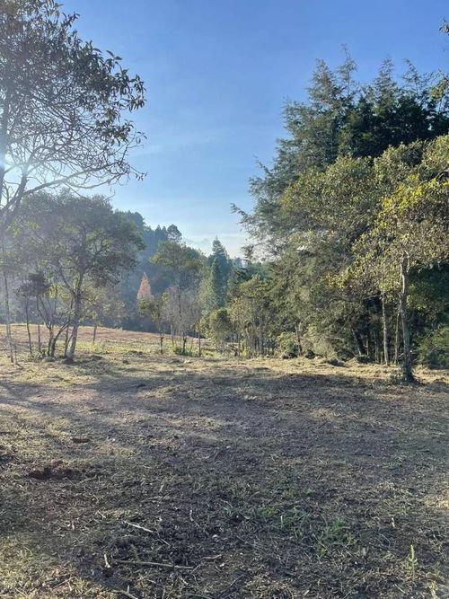 Lote en venta en El Chuscal, El Retiro, 1787 m² · foto 9 de 15