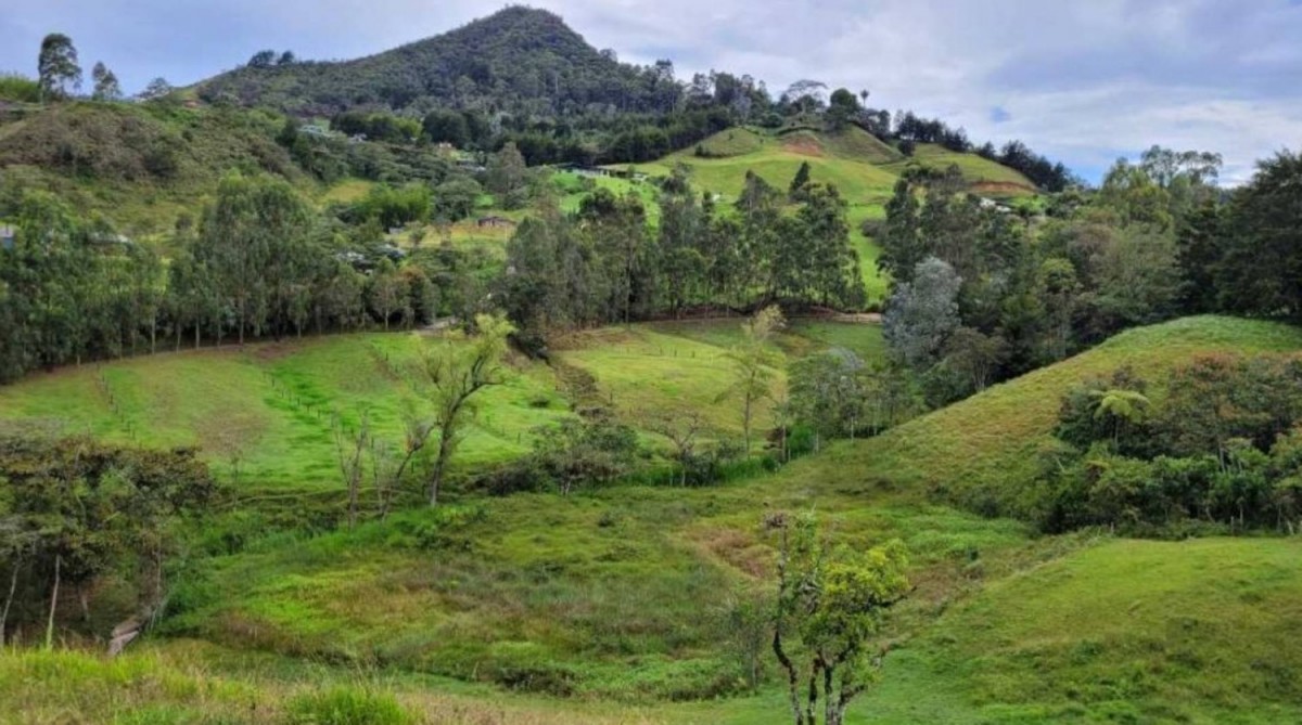 Land in Pontezuela for Sale