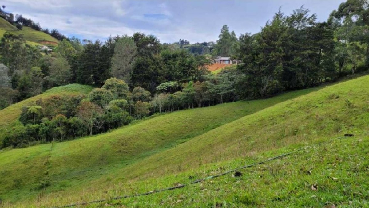 Land in Pontezuela for Sale - 2