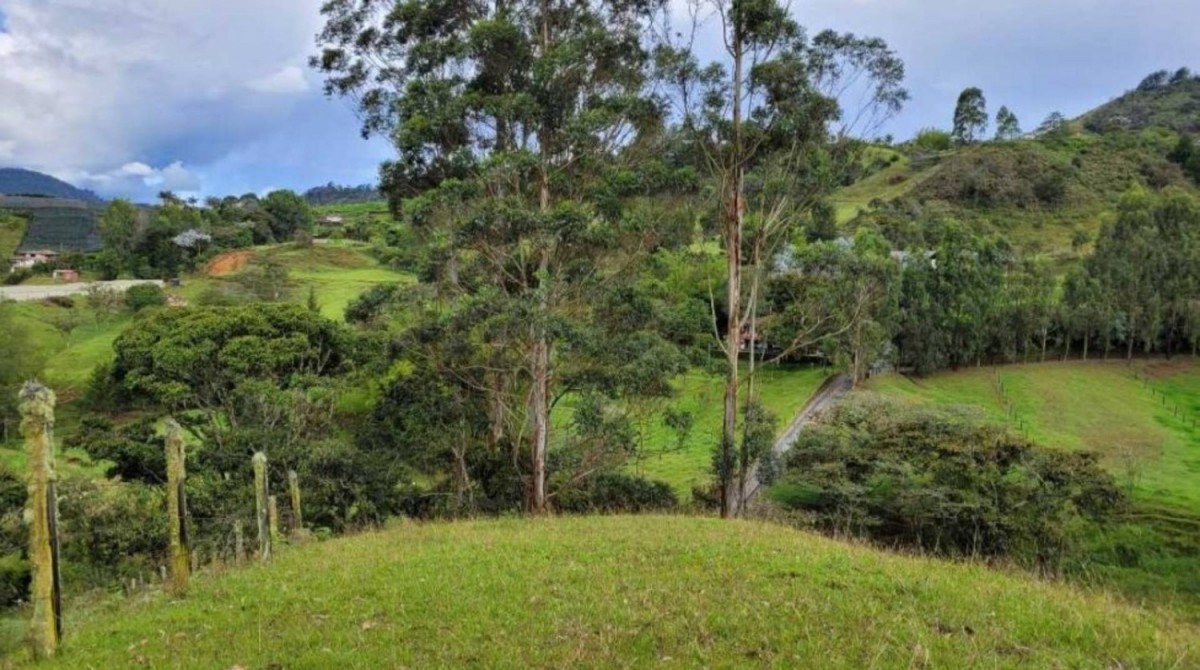 Land in Pontezuela for Sale - 4